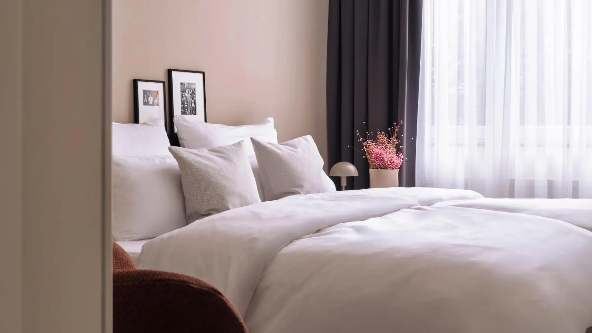 Stayery Cologne Suelz contacts